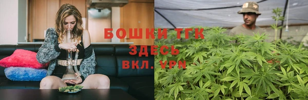 гидра Аркадак