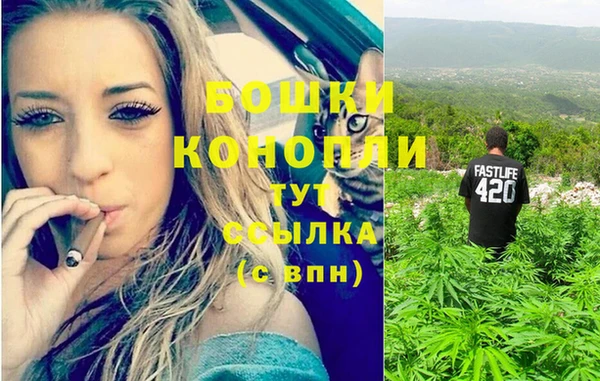 спиды Арсеньев