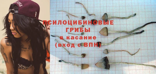 спиды Арсеньев
