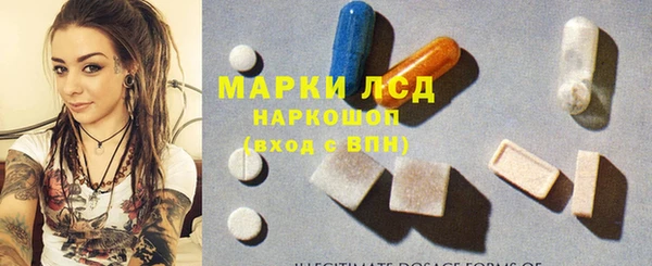 гидра Аркадак