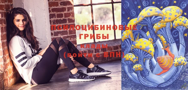 спиды Арсеньев